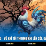 Gà Mặt Trăng - Vũ Khí Tối Thượng Khi Lên Sới, Đánh Là Chuẩn