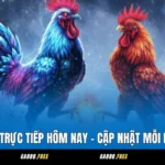 GA888 Đá Gà Trực Tiếp Hôm Nay - Cập Nhật Mỗi Ngày, Full HD