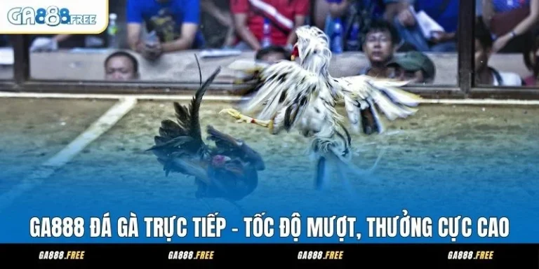 GA888 Đá Gà Trực Tiếp - Tốc Độ Mượt, Thưởng Cực Cao