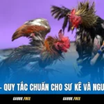 Luật Đá Gà – Quy Tắc Chuẩn Cho Sư Kê Và Người Chơi Mới