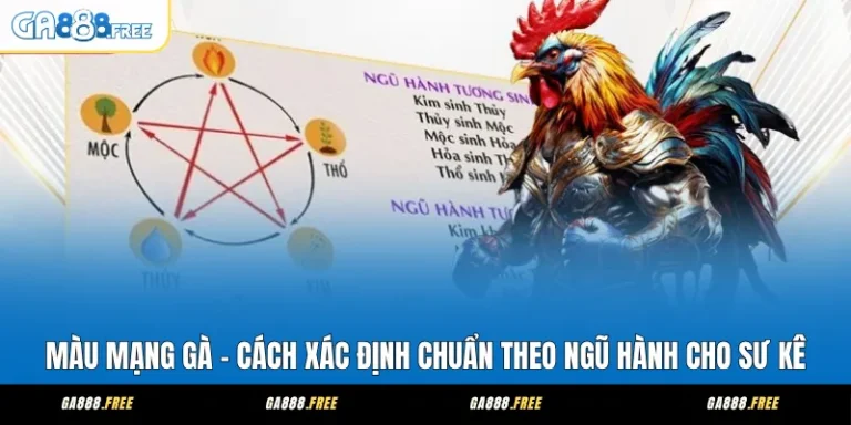 Màu Mạng Gà – Cách Xác Định Chuẩn Theo Ngũ Hành Cho Sư Kê