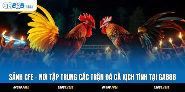 Sảnh CFE – Nơi Tập Trung Các Trận Đá Gà Kịch Tính Tại GA888