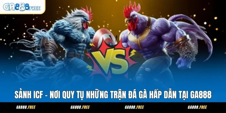 sảnh icf - những trận đá gà hấp dẫn tại ga888