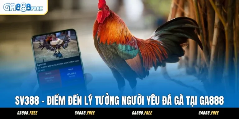 SV388 – Điểm Đến Lý Tưởng Người Yêu Đá Gà Tại GA888
